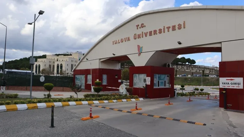 Yalova Üniversitesi Kampüsü OG/AG ve Aydınlatma Projesi